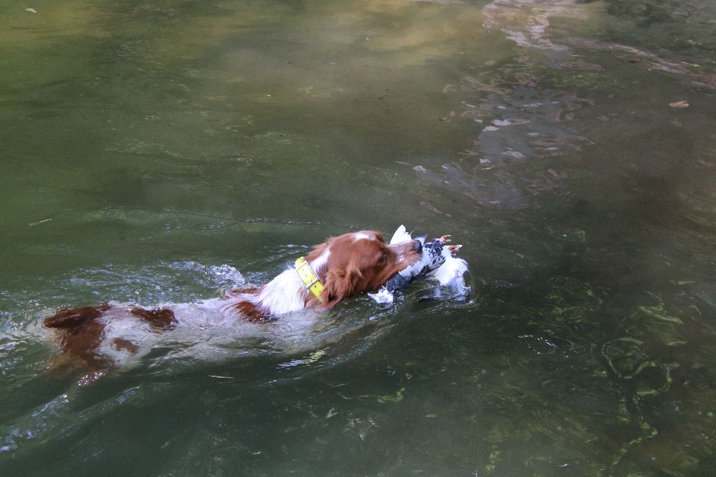 de Neyanc - RAPPORT EN EAU PROFONDE