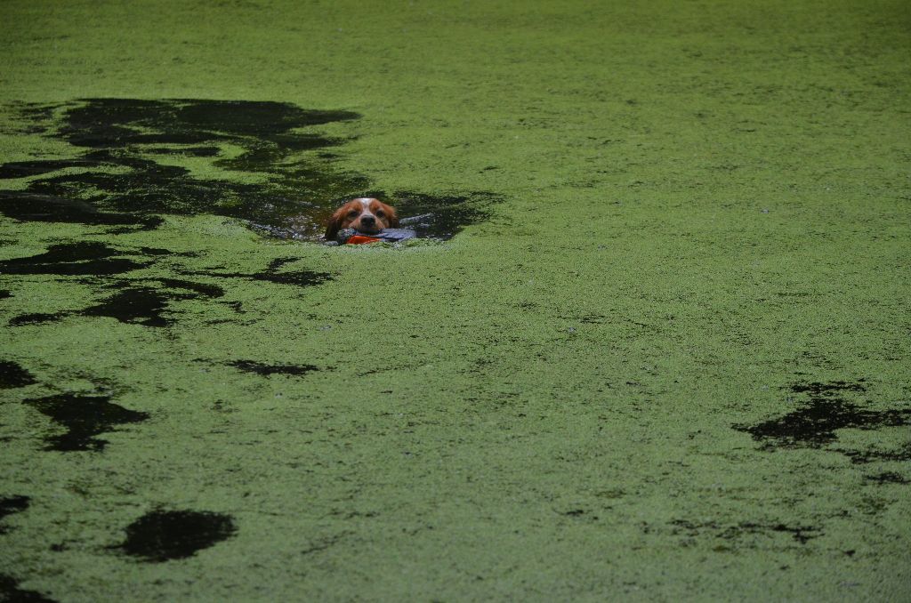 RAPPORT EN EAU PROFONDE